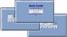 Bank Credit